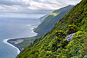 Azzorre, Isola Sao Jorge - Miradouro da Faj dos Cubres. 